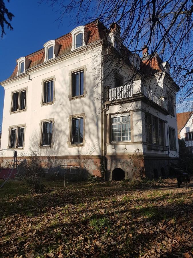 Atelier Art Decho Lejlighed Munster  Eksteriør billede